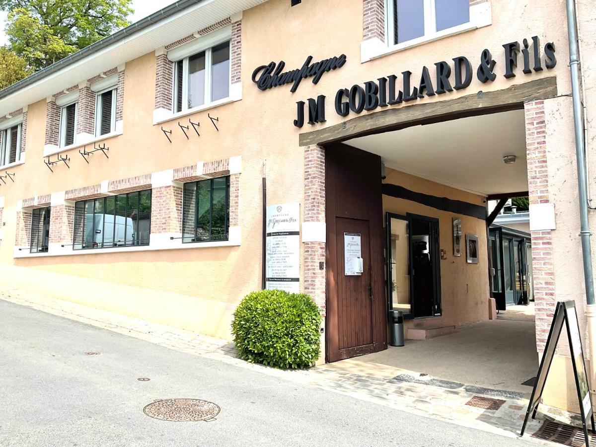 Les Loges Du Theatre Degustation Champagne Offerte Jacuzzi Sauna Jeux Velos Maison Prive 150M2 Historique 14Pers Max Emplacement Exceptionnel Et Chic, 200M De L'Avenue De Champagne, Gare, Musee, Jardins, Restaurations, Toutes Commodites Épernay Eksteriør billede