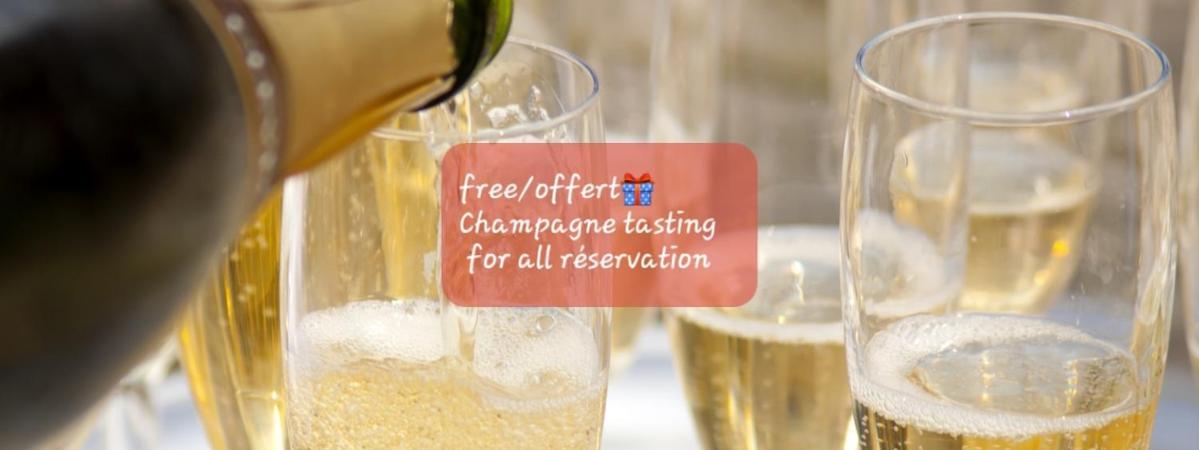Les Loges Du Theatre Degustation Champagne Offerte Jacuzzi Sauna Jeux Velos Maison Prive 150M2 Historique 14Pers Max Emplacement Exceptionnel Et Chic, 200M De L'Avenue De Champagne, Gare, Musee, Jardins, Restaurations, Toutes Commodites Épernay Eksteriør billede