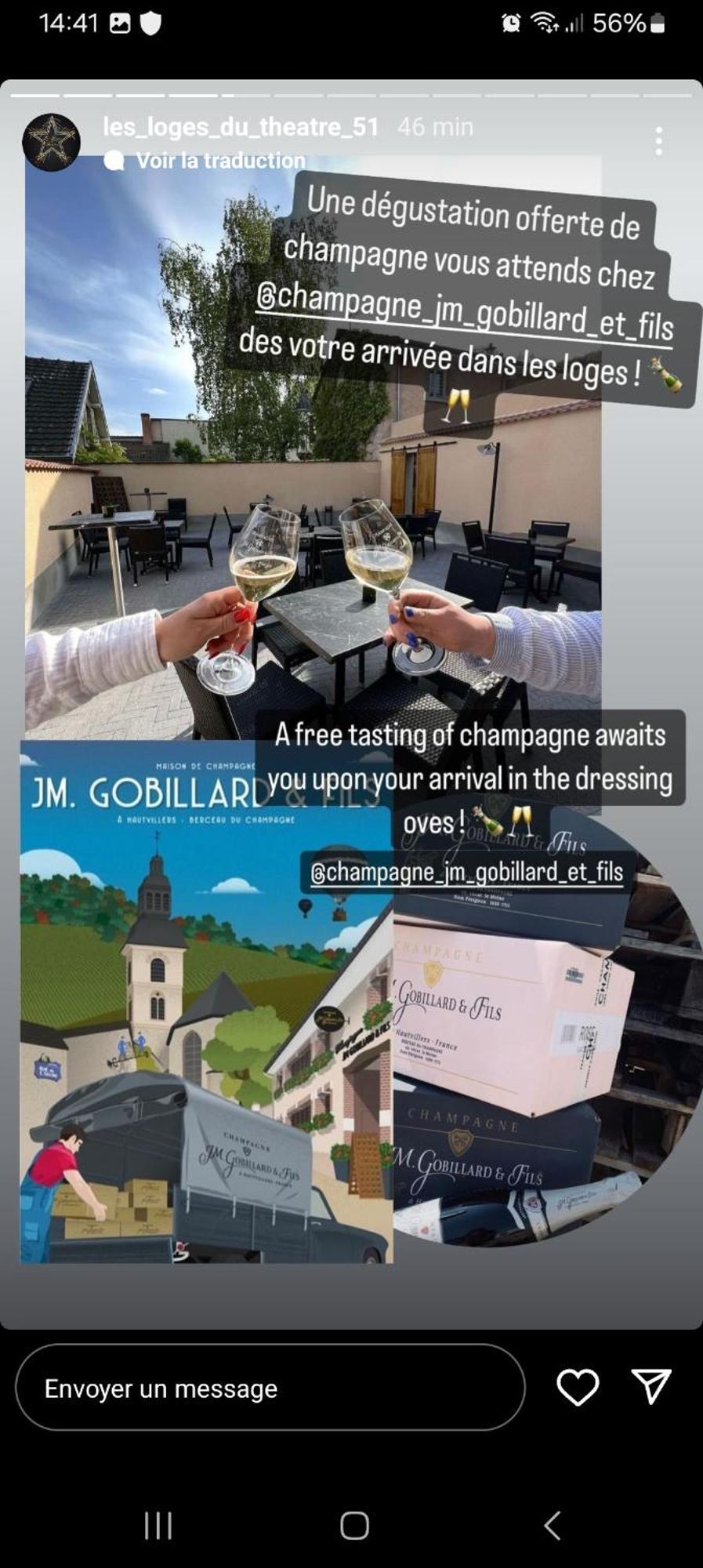 Les Loges Du Theatre Degustation Champagne Offerte Jacuzzi Sauna Jeux Velos Maison Prive 150M2 Historique 14Pers Max Emplacement Exceptionnel Et Chic, 200M De L'Avenue De Champagne, Gare, Musee, Jardins, Restaurations, Toutes Commodites Épernay Eksteriør billede