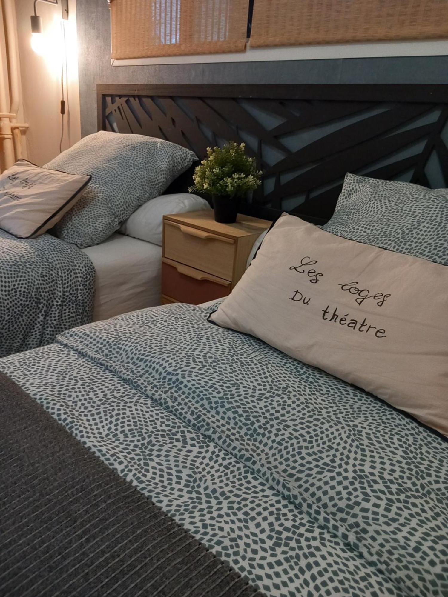Les Loges Du Theatre Degustation Champagne Offerte Jacuzzi Sauna Jeux Velos Maison Prive 150M2 Historique 14Pers Max Emplacement Exceptionnel Et Chic, 200M De L'Avenue De Champagne, Gare, Musee, Jardins, Restaurations, Toutes Commodites Épernay Eksteriør billede