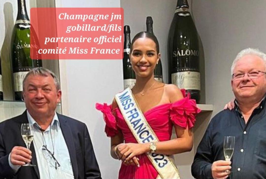 Les Loges Du Theatre Degustation Champagne Offerte Jacuzzi Sauna Jeux Velos Maison Prive 150M2 Historique 14Pers Max Emplacement Exceptionnel Et Chic, 200M De L'Avenue De Champagne, Gare, Musee, Jardins, Restaurations, Toutes Commodites Épernay Eksteriør billede